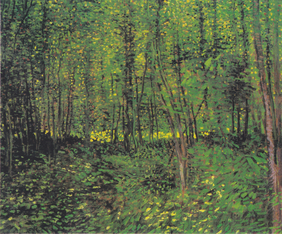 Vincent van Gogh - Bäume und Unterholz2