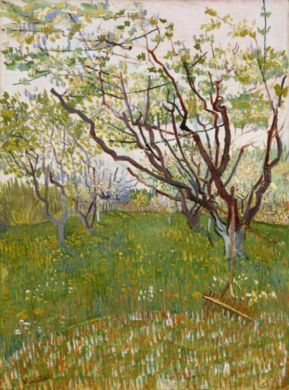 Vincent van Gogh - De roze perzikboom-1