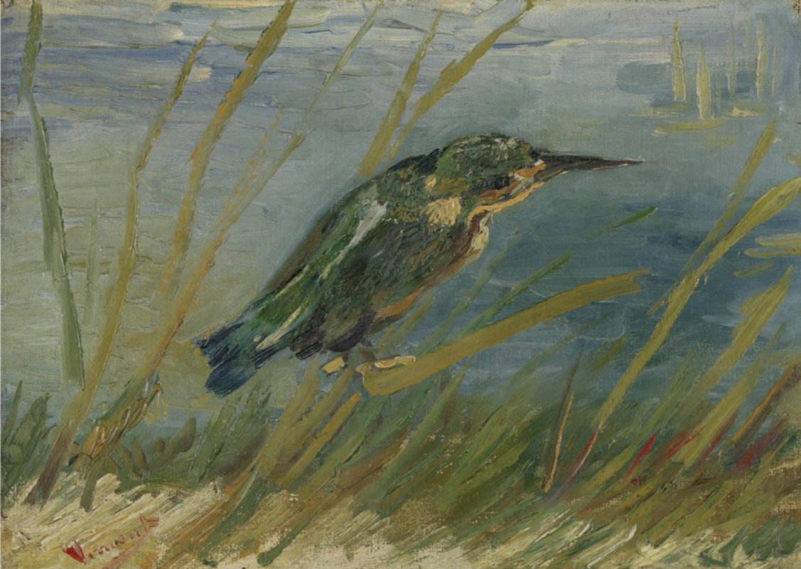 Vincent Van Gogh - King Fischer