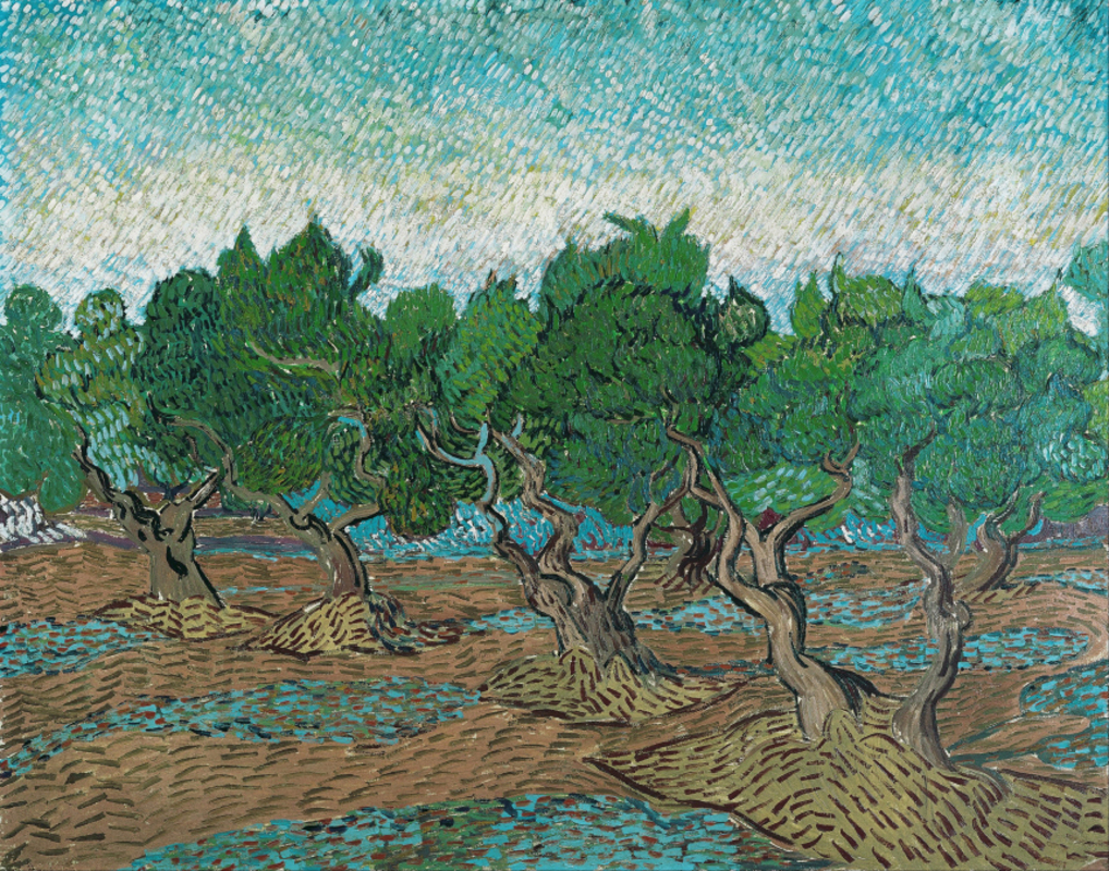 Vincent van Gogh - Olive grove