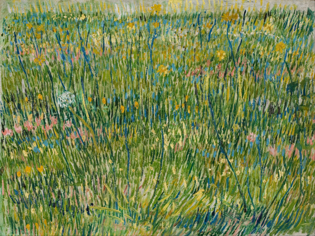 Vincent van Gogh - Patch of grass