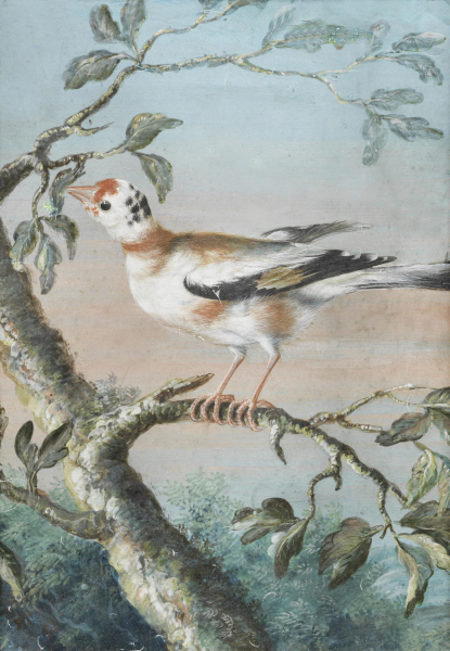 Christoph Ludwig Agricola - Ein Vogel auf einem Ast