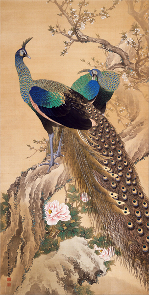 Imao Keinen - A Pair of Peacocks in Spring