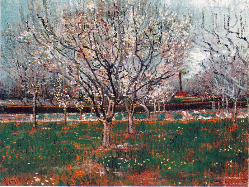 Vincent van Gogh - Bluhender Pflaumenbaum
