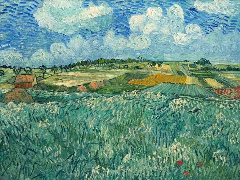 Vincent Van Gogh - Ebene bei Auvers mit Regenwolken