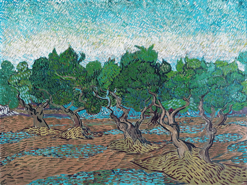 Vincent van Gogh - Olive grove