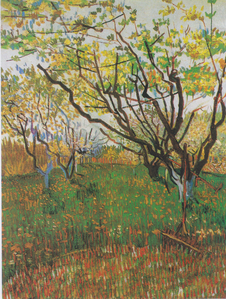 Vincent van Gogh - Bluhender Obstgarten
