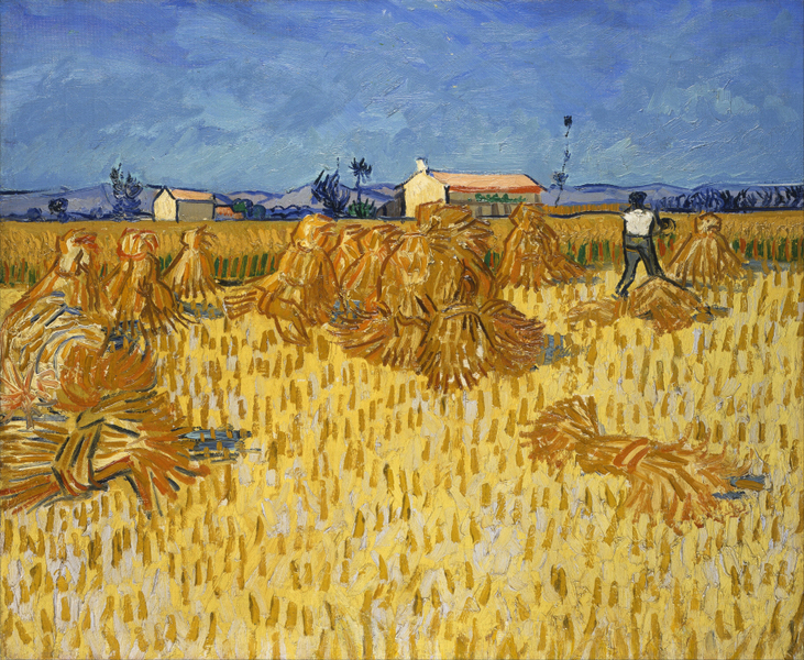 Vincent van Gogh - Corn Harvest in Provence