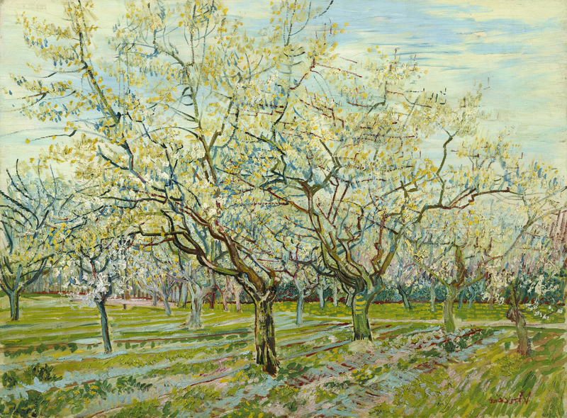 Vincent van Gogh - De witte boomgaard