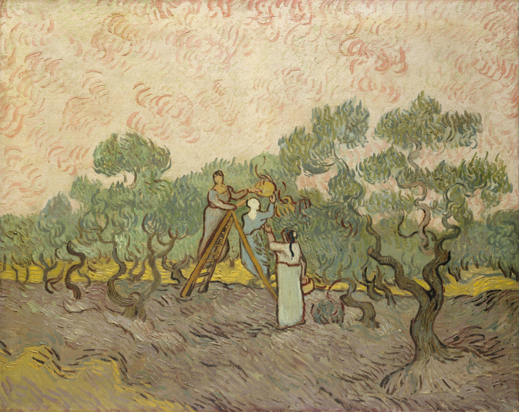 Vincent Van Gogh - SonnenblumenWomen picking olives anagoria