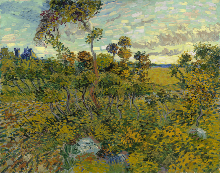 Vincent Van Gogh - Starry NigVincent Van Gogh - Sunset at Montmajour 1888ht