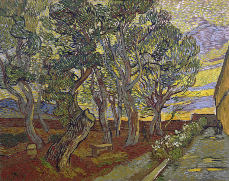 Vincent Van Gogh - The garden of Saint Paul&#039;s Hospital