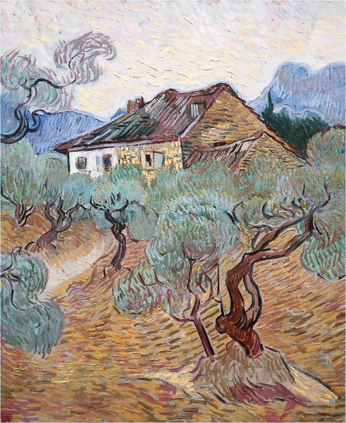Vincent Van Gogh - The white cottage among olive trees