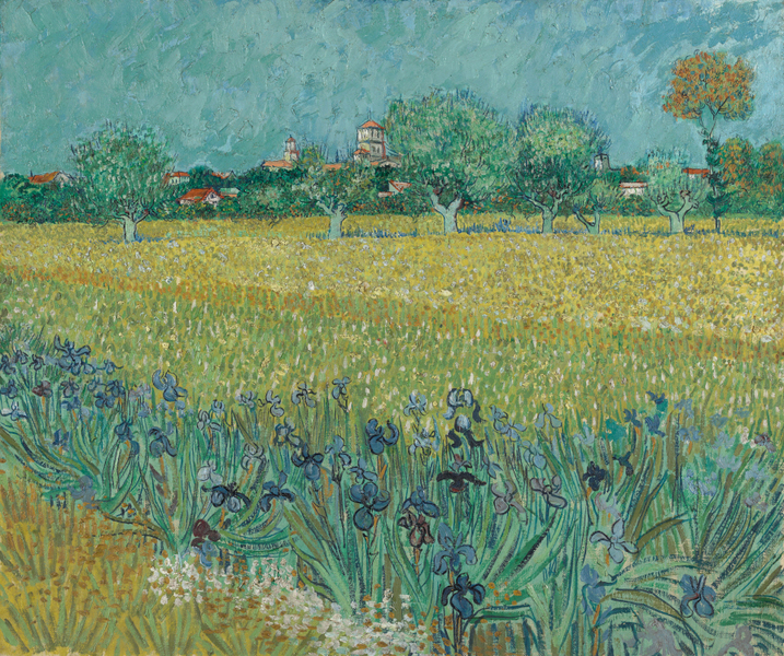 Vincent Van Gogh - Veld met irissen bij Arles - s0037V1962 - Van Gogh Museum