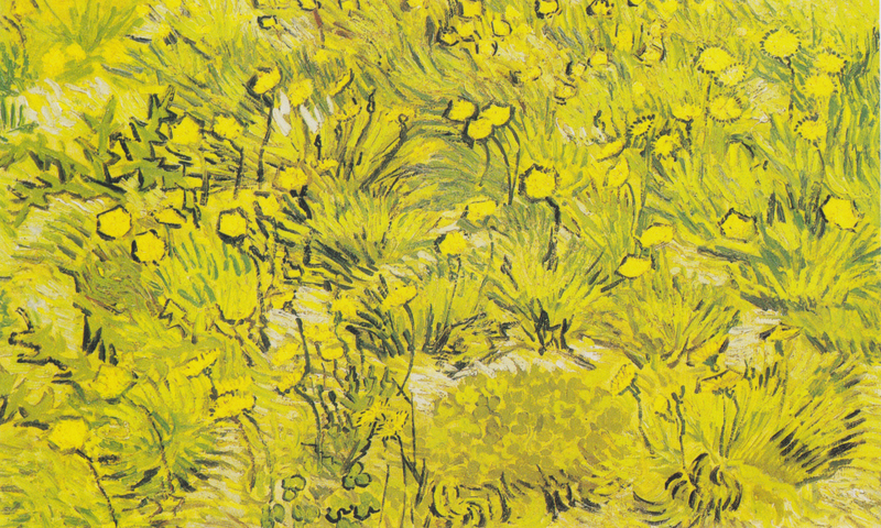 Vincent van Gogh - Wiese mit gelben Blumen