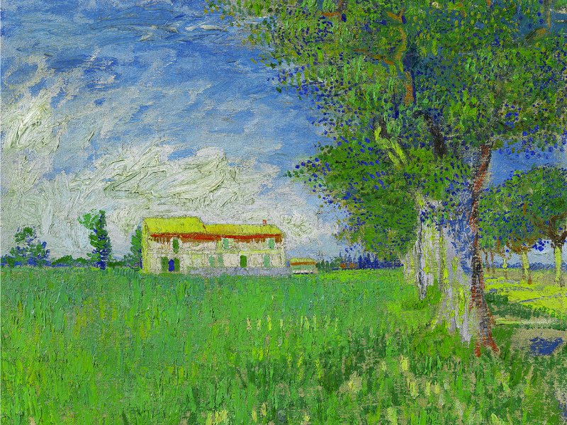 Vincent Van Gogh - Boerderij in het koren