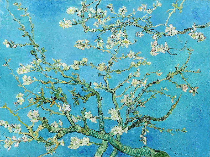 Vincent Van Gogh - Bomen